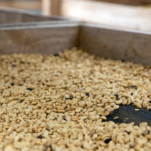 Roaster Image